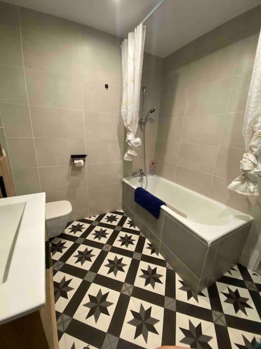 Charmant Studio Idealement Place Et Paisible ! Oloron-Sainte-Marie Exterior foto