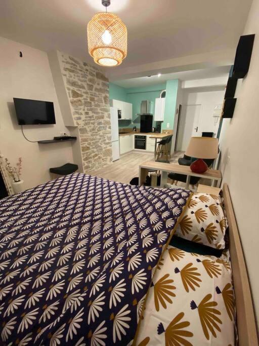 Charmant Studio Idealement Place Et Paisible ! Oloron-Sainte-Marie Exterior foto